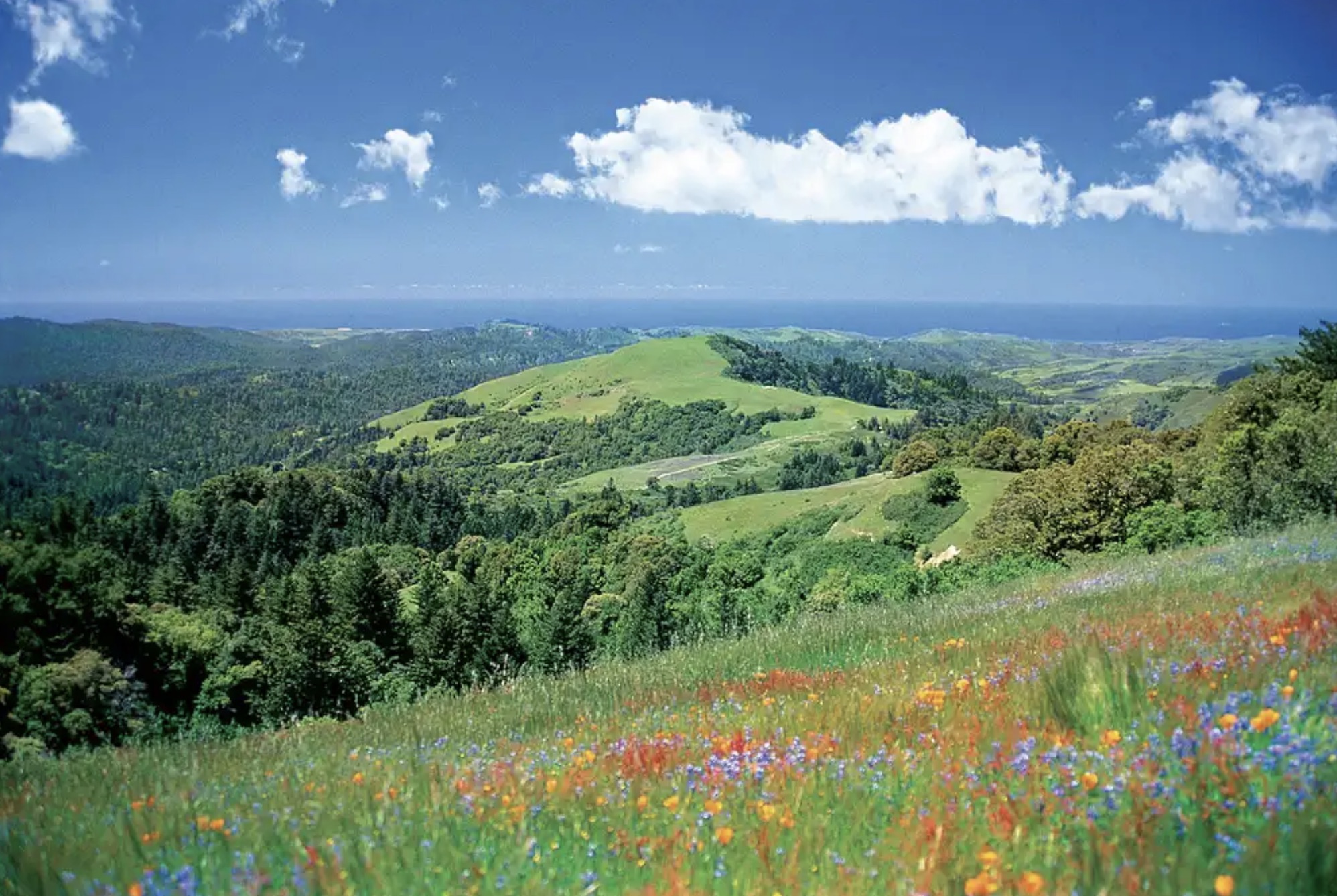 Peninsula Open Space Trust (POST) Presents Their Stunningly Beautiful